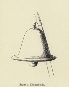 Stunnia Dinnerbellia by Edward Lear